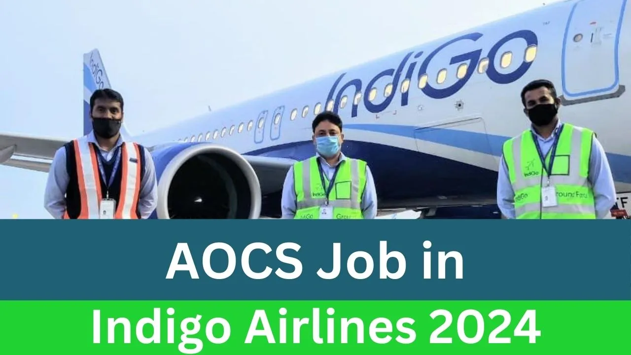 AOCS Job in Indigo Airlines 2024