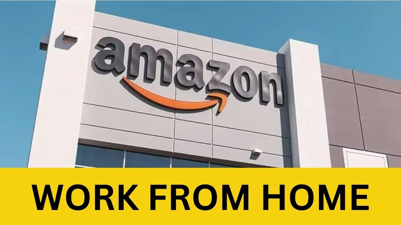 Amazon Company Virtual Customer Job 2024