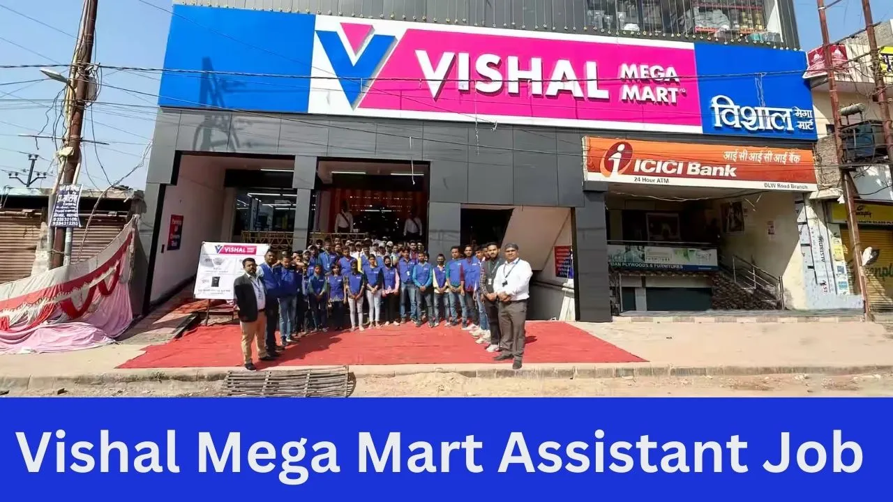 Vishal Mega Mart Assistant Job Vacancy 2024